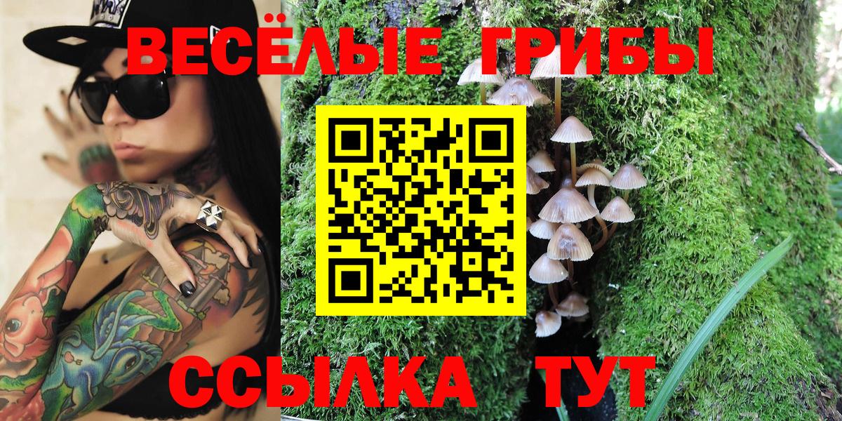 Качканар  Галлюциногенные грибы мицелий  Галлюциногенные грибы Psilocybine cubensis  Вход с VPN 